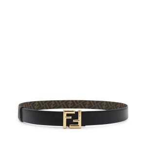 BLACK AND BROWN BELT