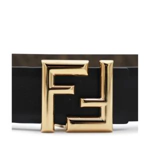 BLACK AND BROWN BELT