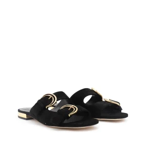 BLACK FLATS