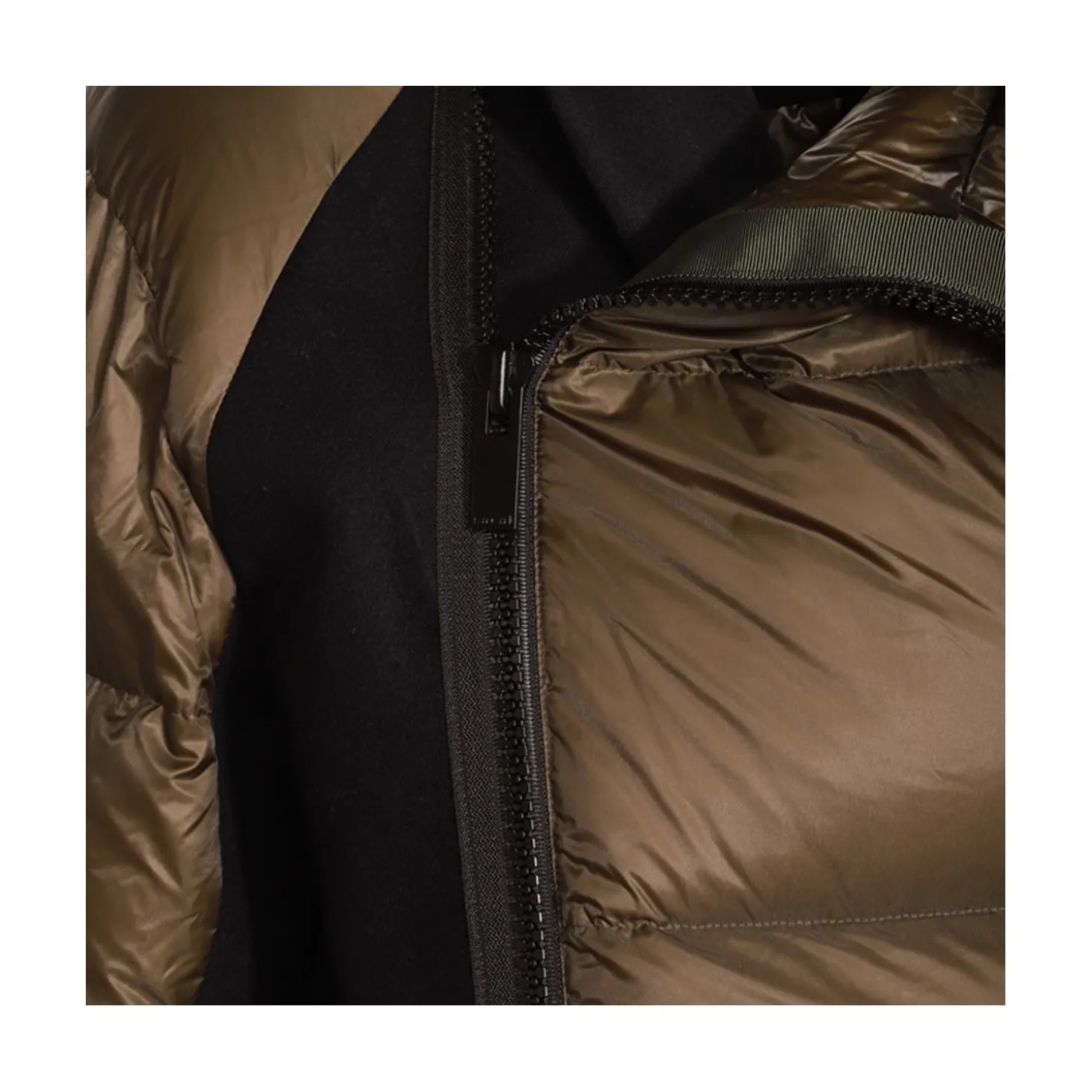 brown_down_jacket_2.webp BROWN DOWN JACKET